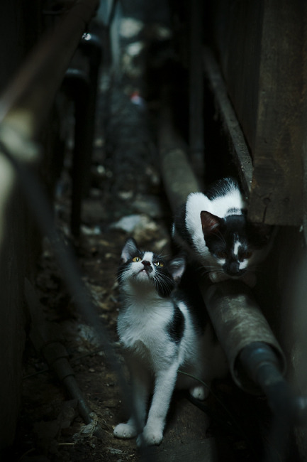 天山雪豹掀翻银黑军团!新疆友谊赛爆冷马刺,克莱末节19分封神