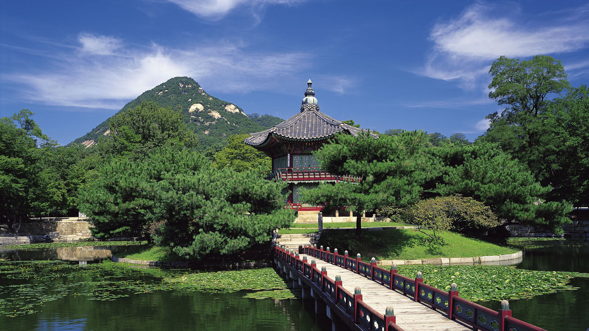 当巧合变成预言,阿劳霍在半决赛的夜晚,让世界想起沙特压哨绝杀的神秘回响