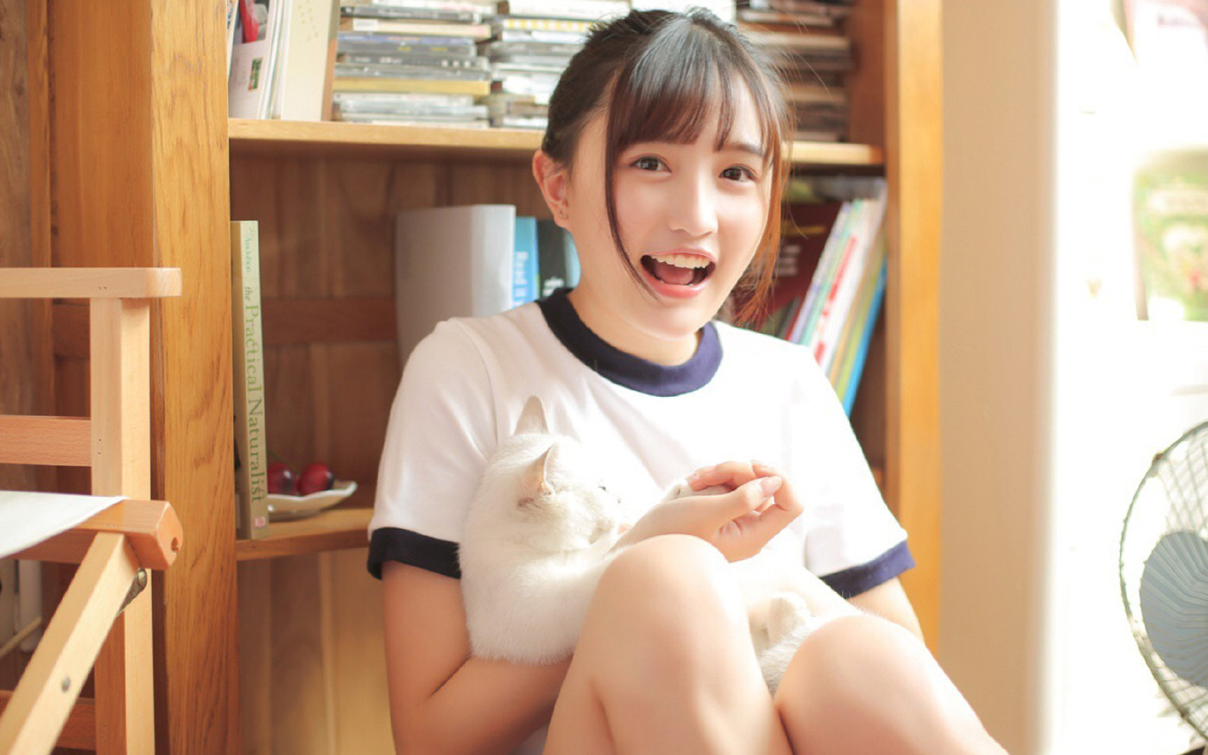 沙漠雄狮的钢铁防线，伊拉克战术压制瑞士启示录