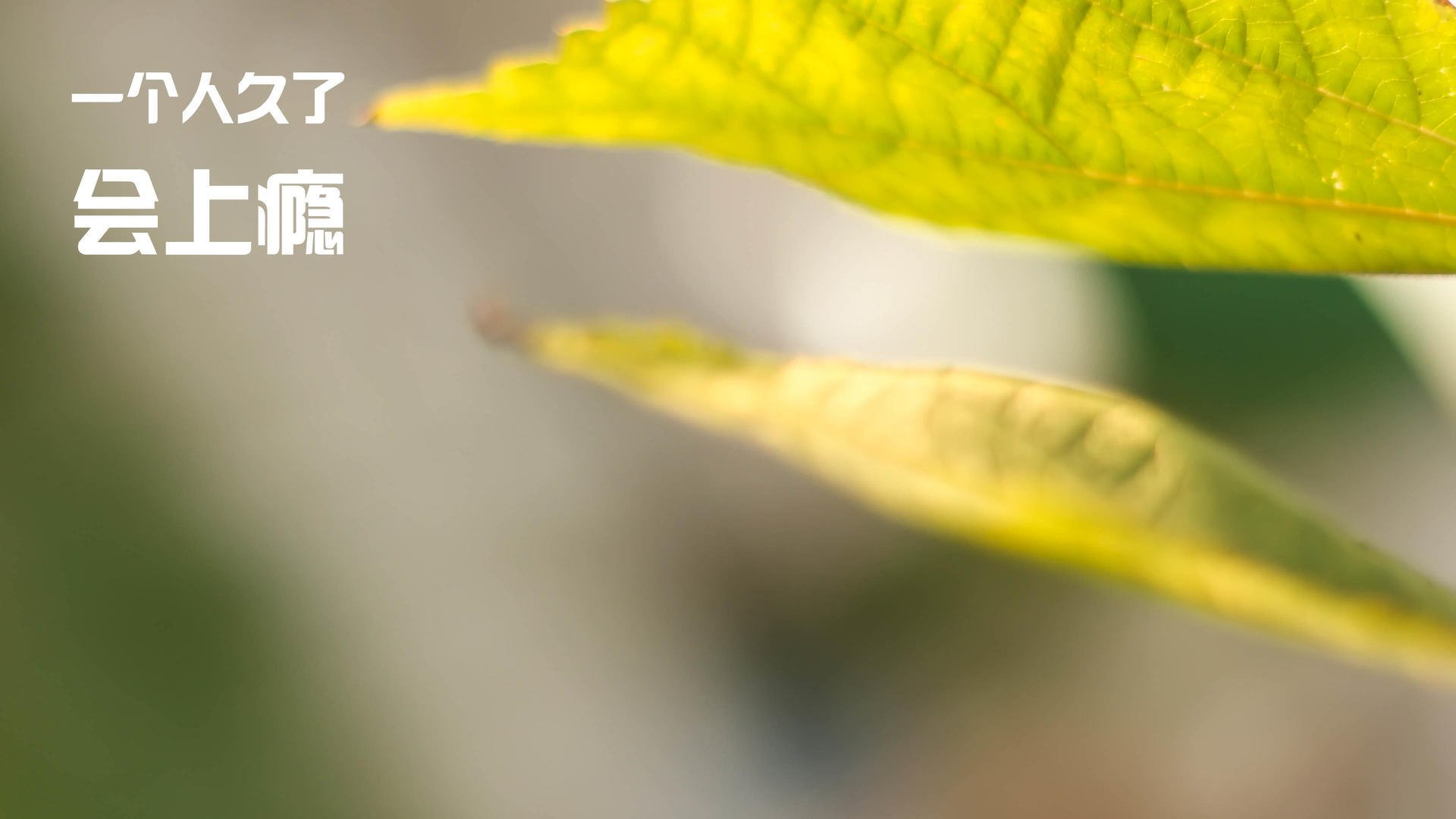 永恒封印的瞬间，当格列兹曼将瑞典防线化为背景，威尔士的传奇诞生夜