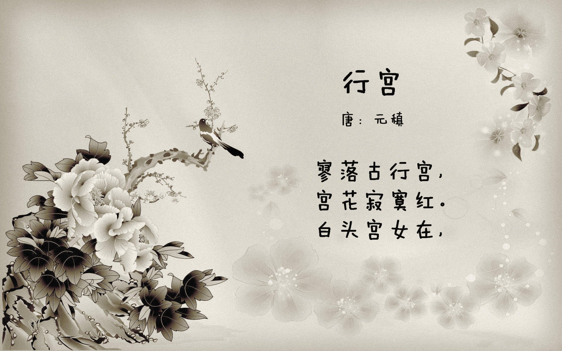 美加之夜,星光之上,哈登执笔