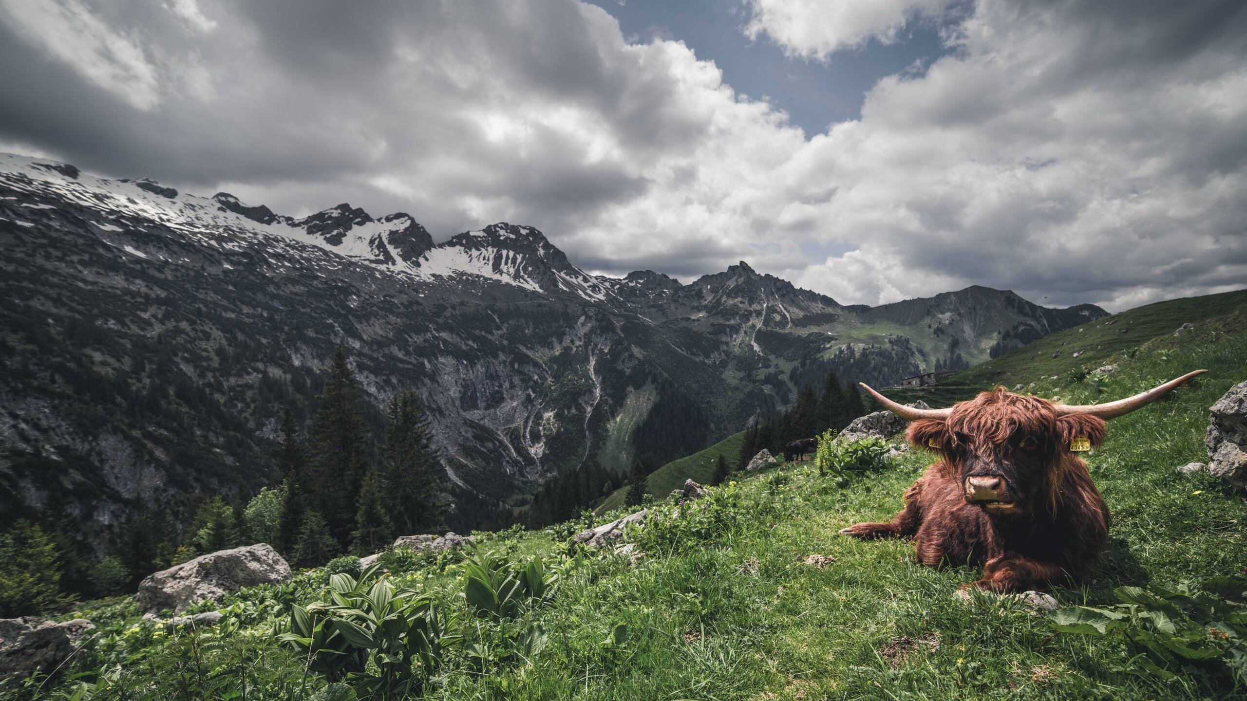 弦与鼓,当杜兰特拨动全队的脉搏