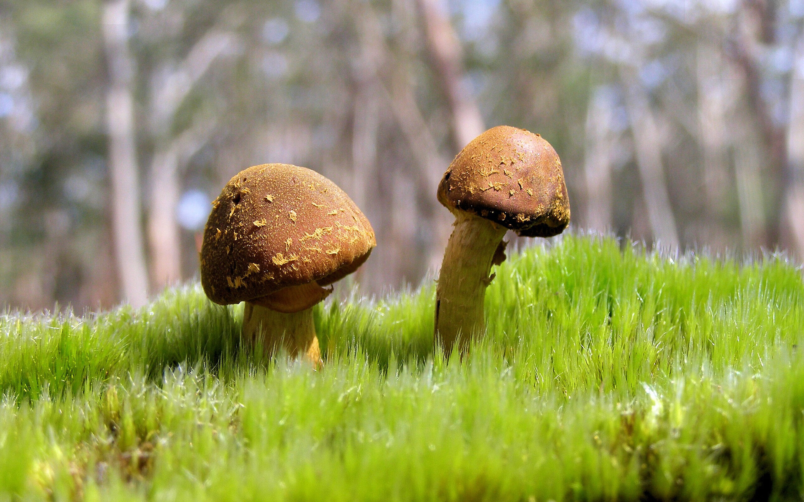 若日尼奥数据全面爆炸，为何却在卡塔尔与皇家社会的对决中沦为华丽的注脚？