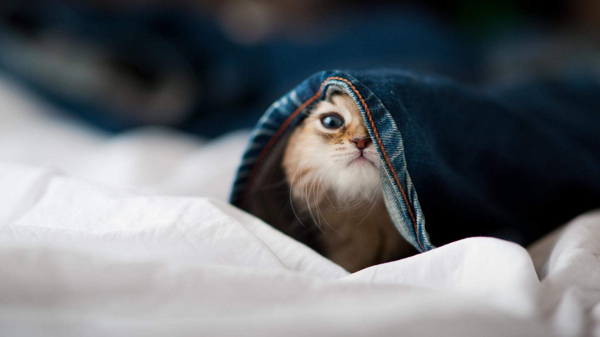 当西甲德比激战正酣,萨拉赫悄然完成历史性突破