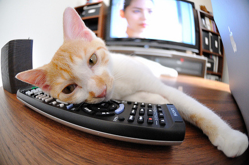 开云体育2026-唯一性，当恩佐的统治力遇上卡塔尔击穿德国的夜晚