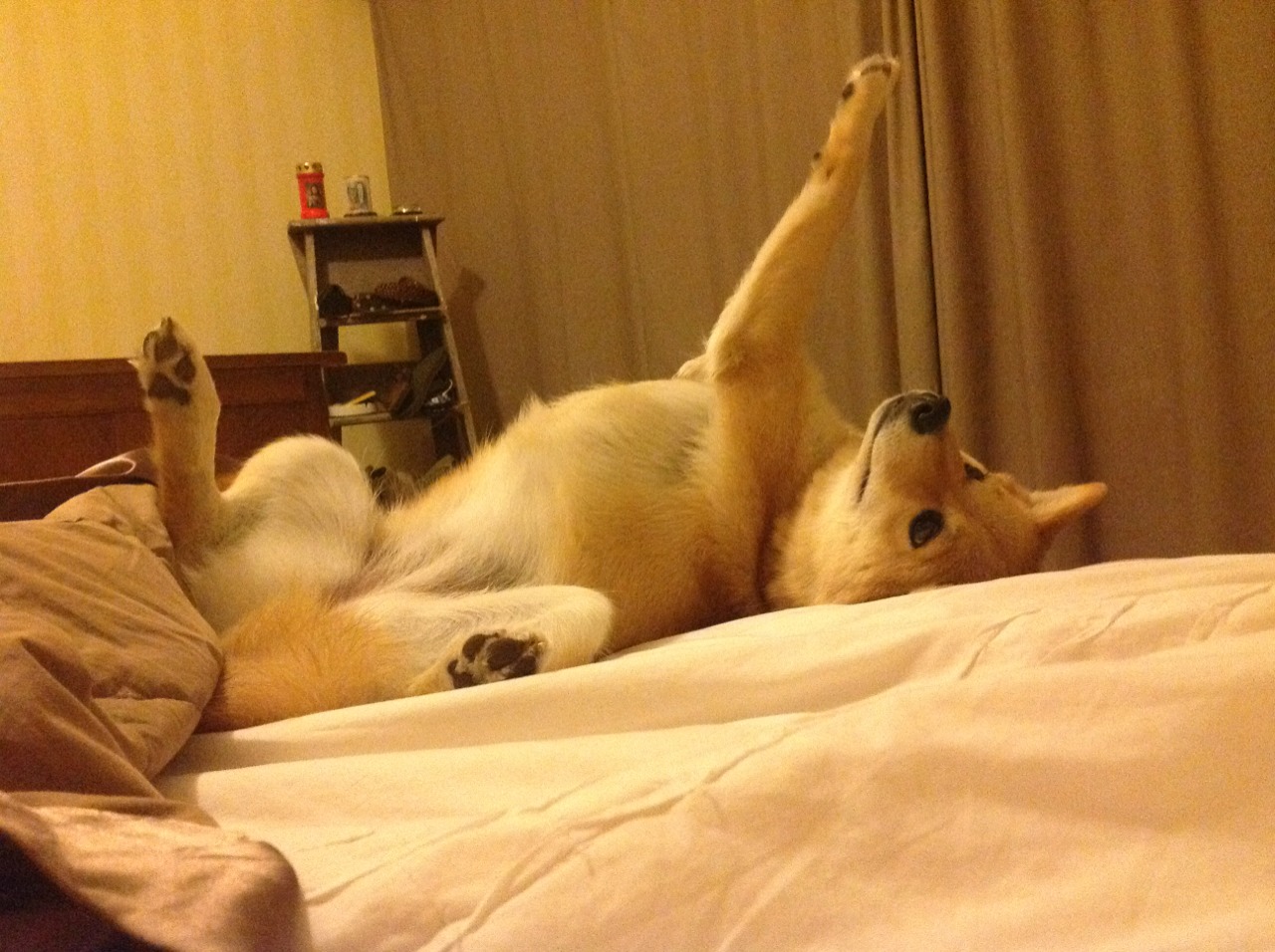 诺坎普的时空裂缝，当厄德高用巴萨之名击溃伊朗，足球证明了什么？