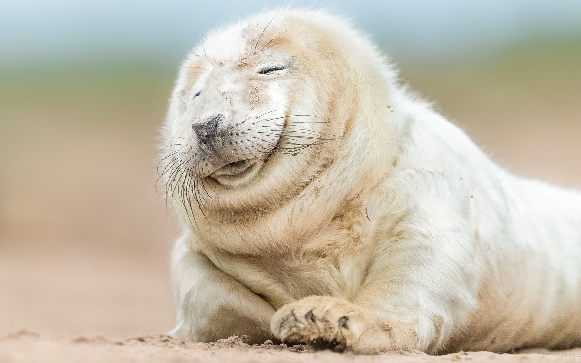 开云体育平台APP-绝杀的艺术，从NBA季后赛到欧洲杯预选赛，解读决胜时刻的唯一性