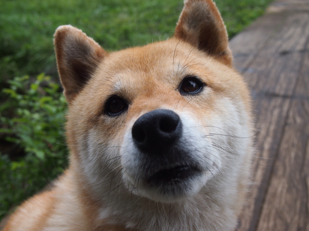 德甲争冠夜，魔笛终章，莫德里奇末节主宰比赛