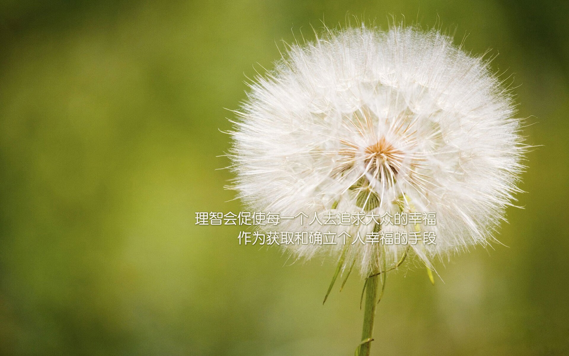 开云体育app-末节窒息！马竞10分钟钢铁风暴，雷恩在主场轰然倒下