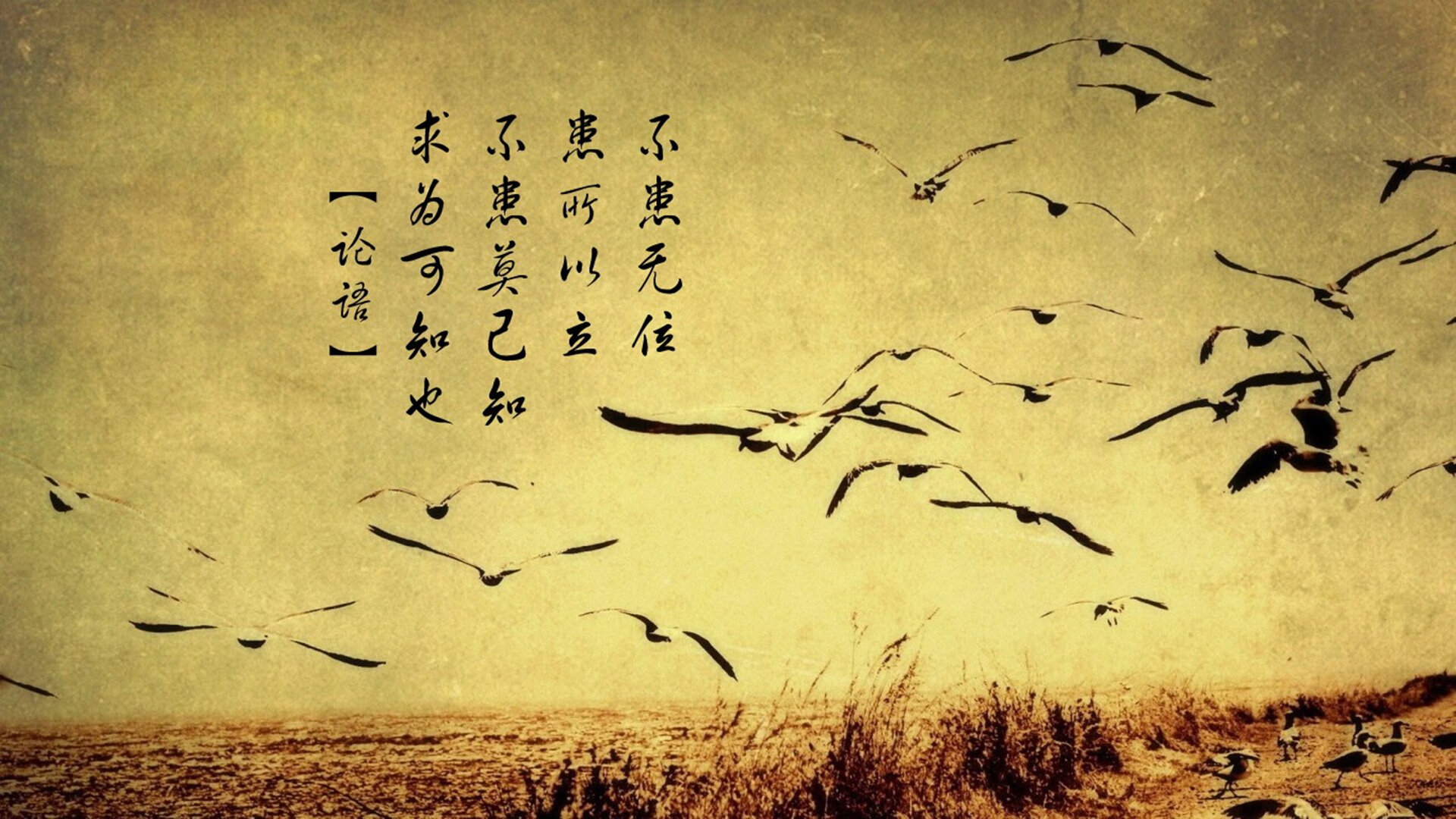 开云体育APP下载-伊朗的乌拉圭心脏，努涅斯与一场违背逻辑的胜利，改写了2026世界杯A组的宿命