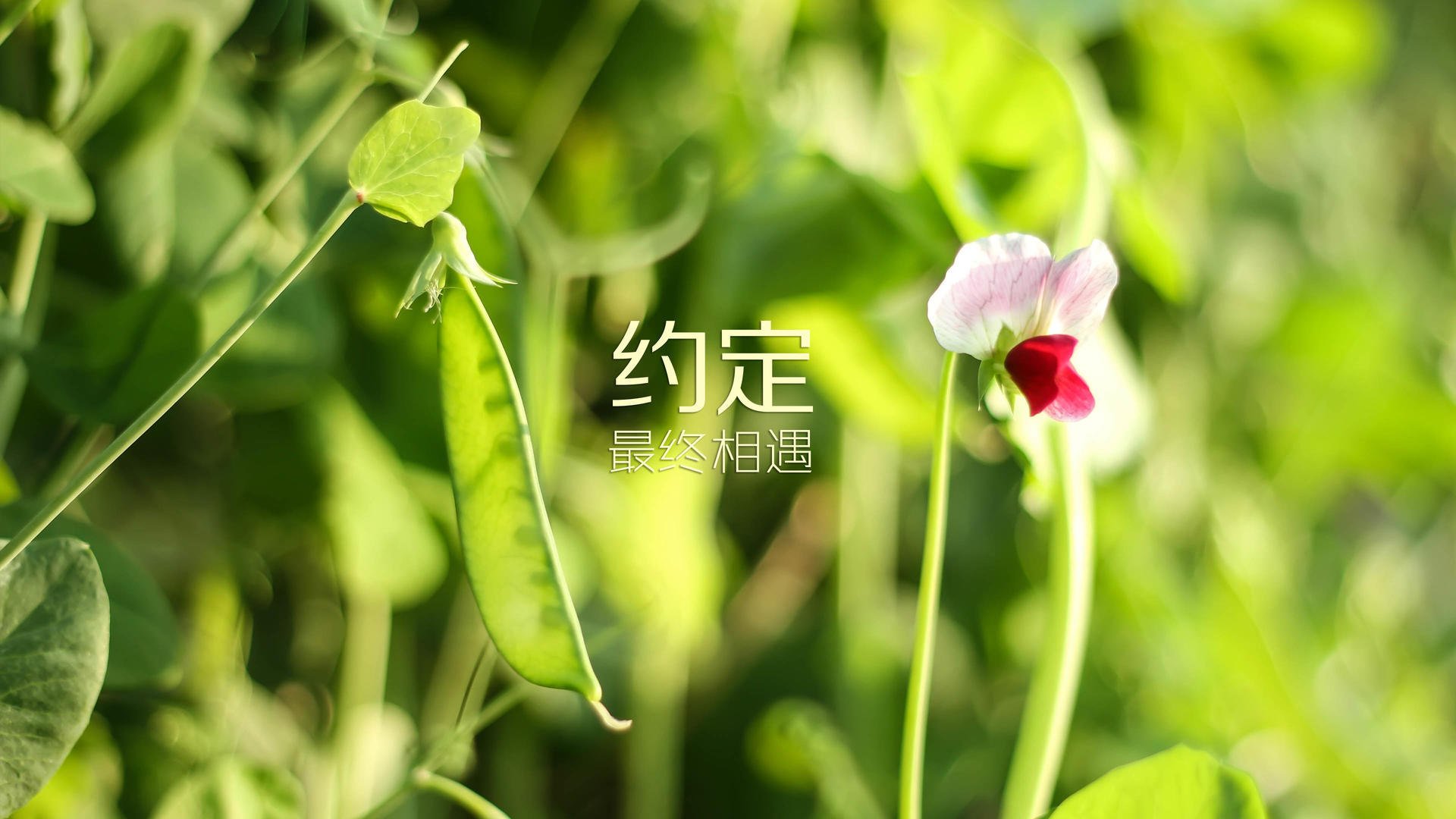 首先,为您拟定一个扩展思维后的文章标题
