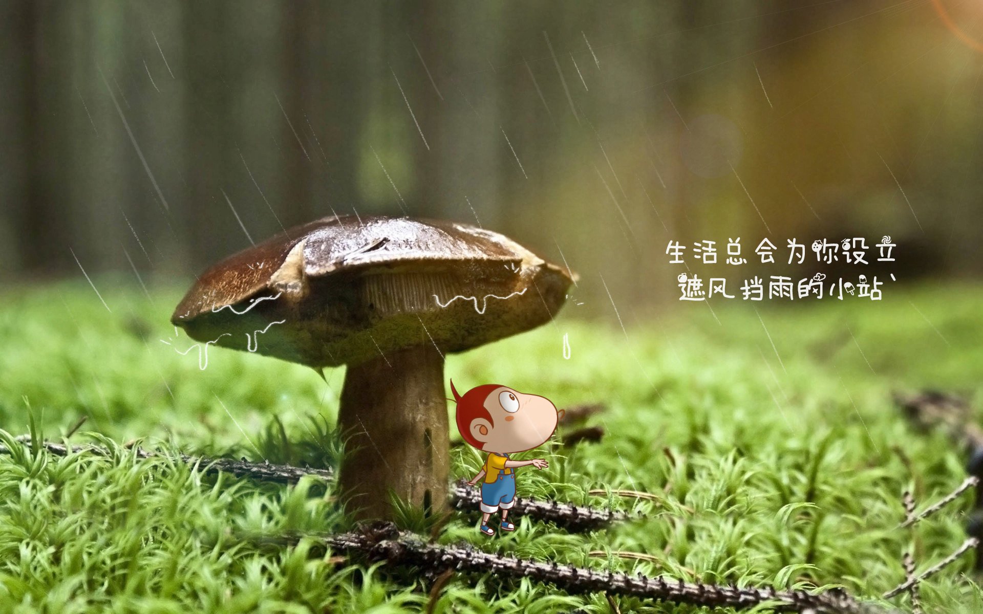 开云体育2026-（选项A 侧重戏剧性）