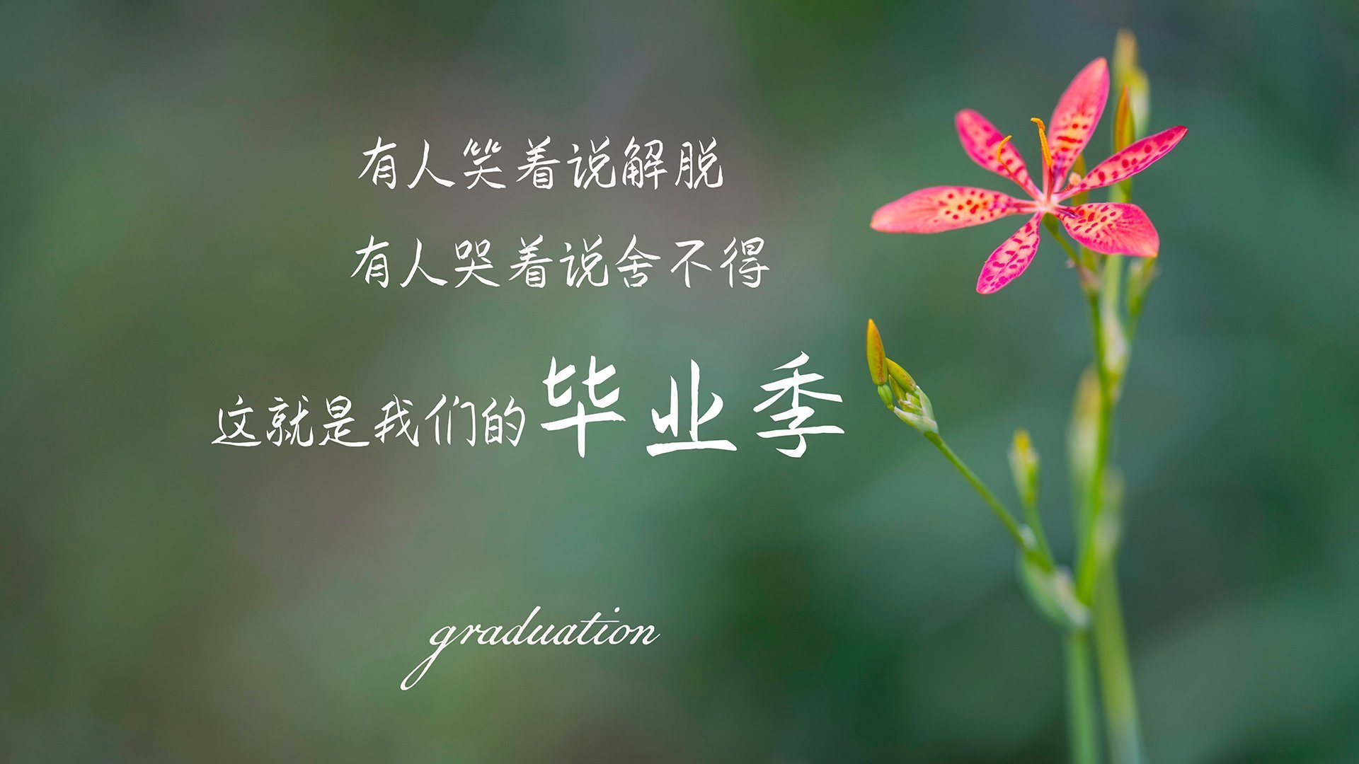 当蓝武士的齿轮碾过黑星,梅西的左脚写下了唯一的答案