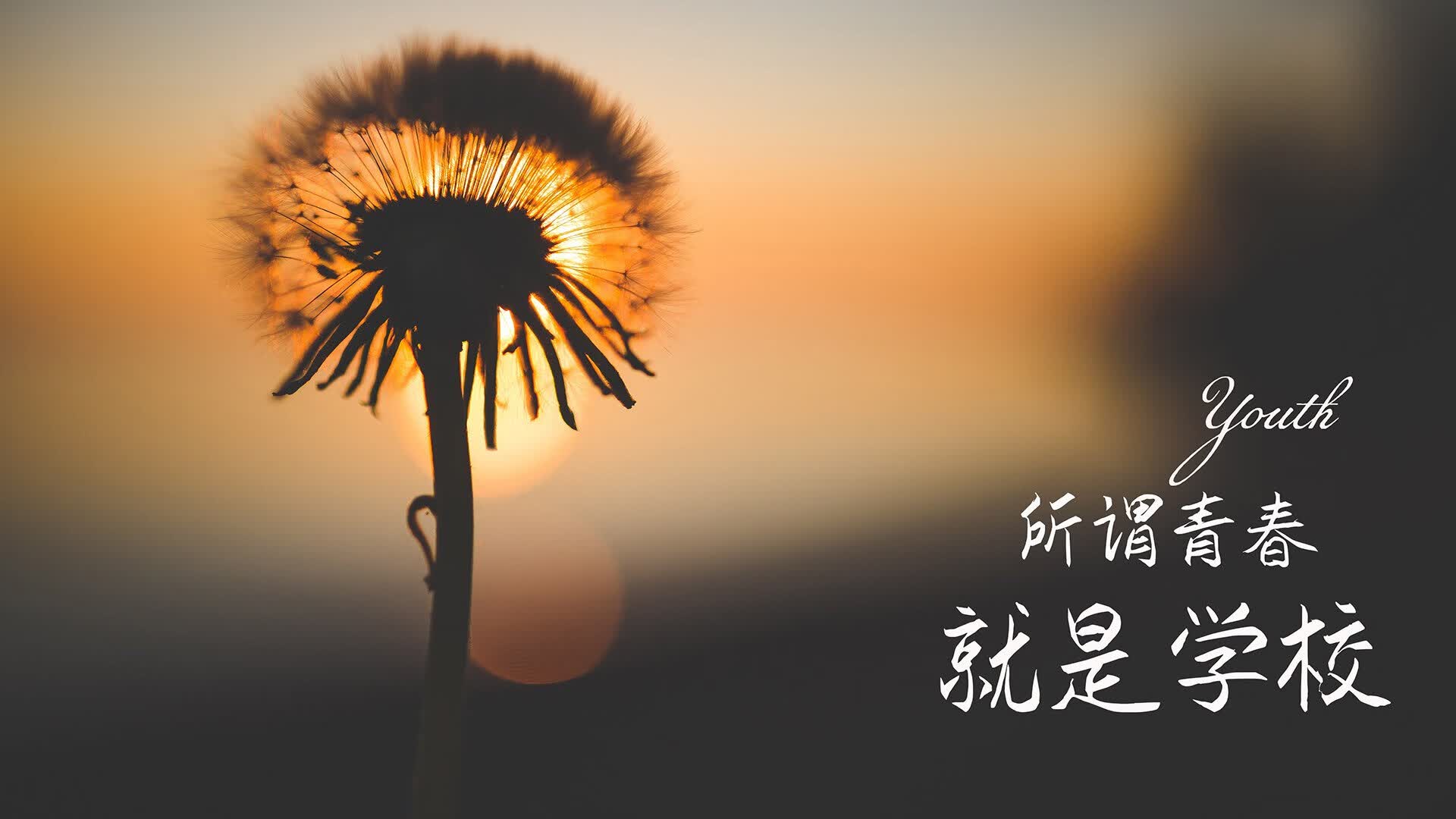 开云体育中国-华丽的落幕，铁血的绝唱，2026世界杯，西班牙的催眠曲与布罗佐维奇的达摩克利斯之剑
